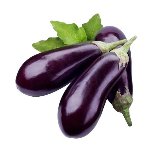 fresh brinjal