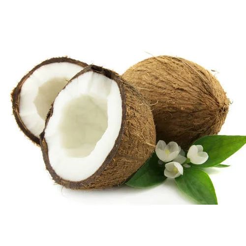 Brown Solid Organic Fresh Coconut, for Pooja, Cosmetics, Cooking, Shelf Life : 3 Months