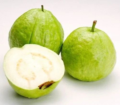 Green Organic Fresh Guava, for Human Consumption, Packaging Type : Jute Bag
