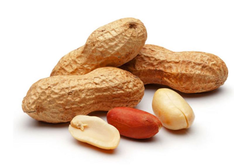 Organic groundnut seeds, Feature : Gluten Free, Healthy
