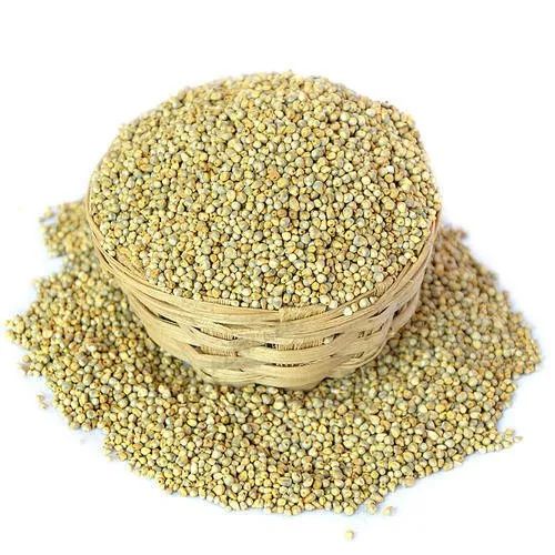 Light Green Organic Pearl Millet, for Cooking, Shelf Life : 6months