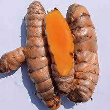 Lakadong Organic Turmeric Fresh Finger