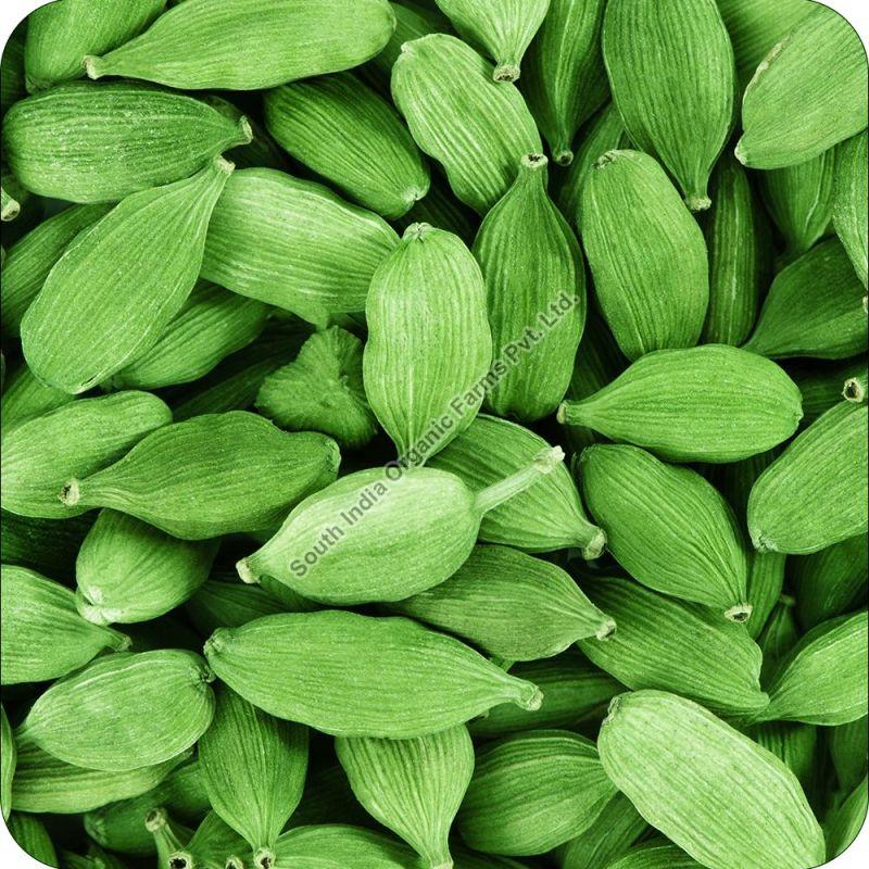 Pods 8.5+ mm Green Cardamom, for Cooking Spices