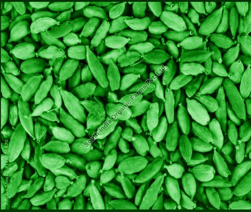 8 - 8.5 mm Green Cardamom