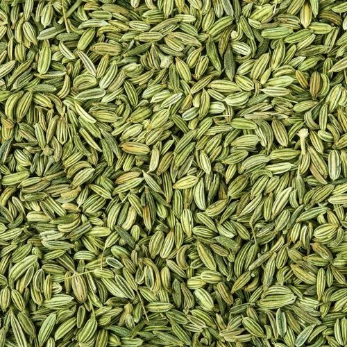 Fennel Seeds