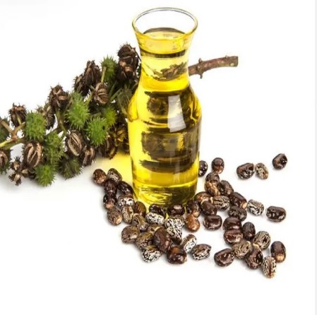 castor seed oil