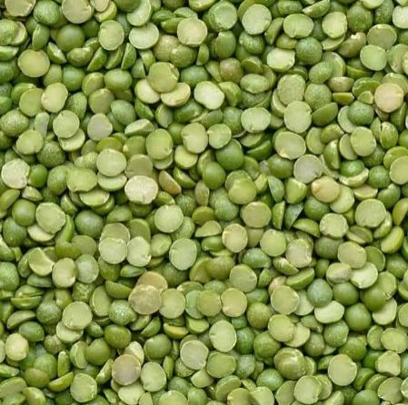 Green Lentil