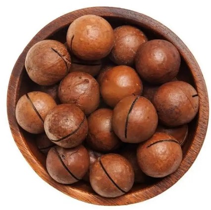 High Quality Macadamia nut
