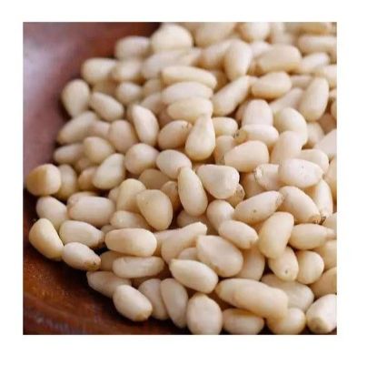Pine Nut Kernel
