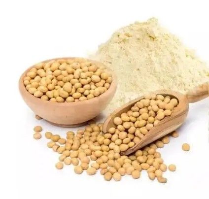 Soybean Flour