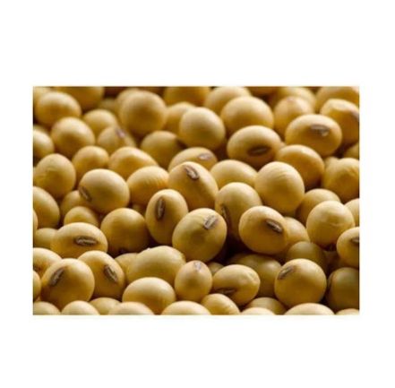 Soybeans