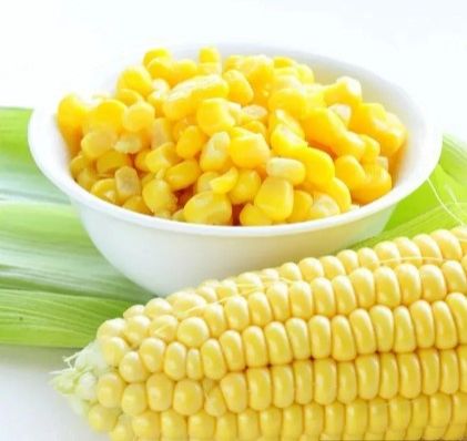 Yellow Corn