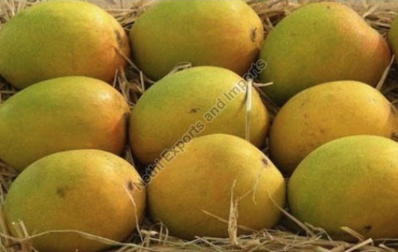 Natural Alphonso Mango, for Juice Making, Direct Consumption, Packaging Size : 5-10 Kg