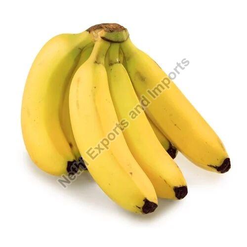 Yellow Natural Fresh Banana, Shelf Life : 4-5 Days