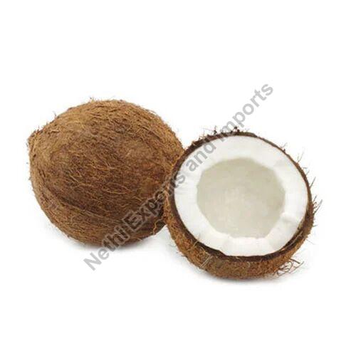 Semi Husked Hard Natural Fresh Coconut, for Pooja, Direct Consumption, Coconut Size : Medium