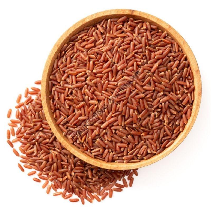 Natural Kattuyanam Red Rice, Packaging Type : Pp Bag