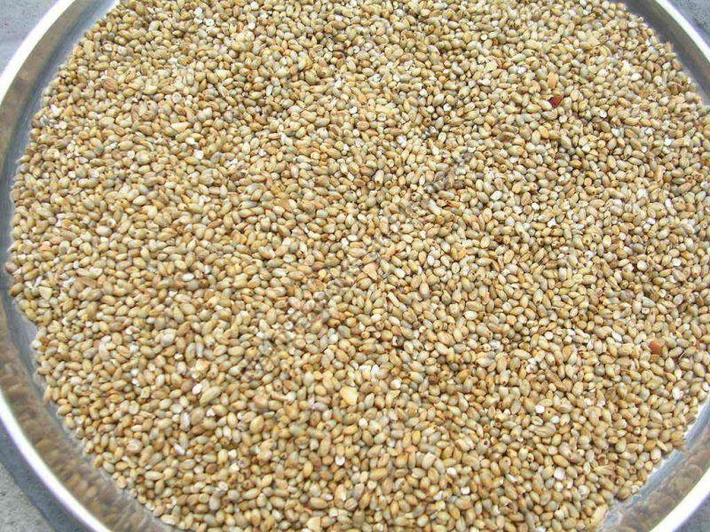 Natural Kambu Millet