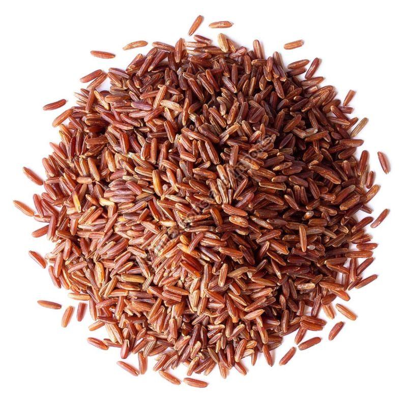 Natural Red Rice, Packaging Type : PP Bag
