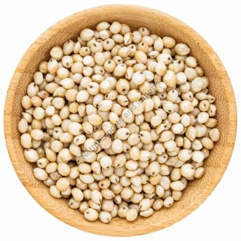 Natural White Sorghum Millet, Packaging Type : PP Bags