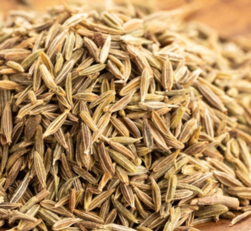 Premium Cumin Seeds