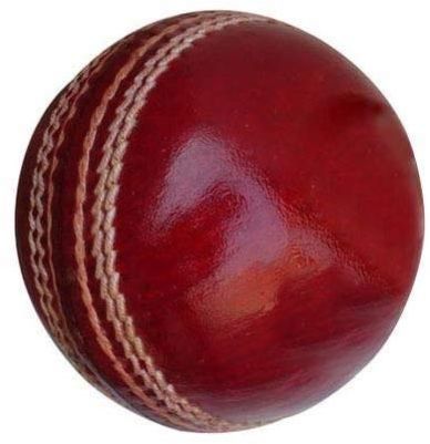 Leather Cricket Balls