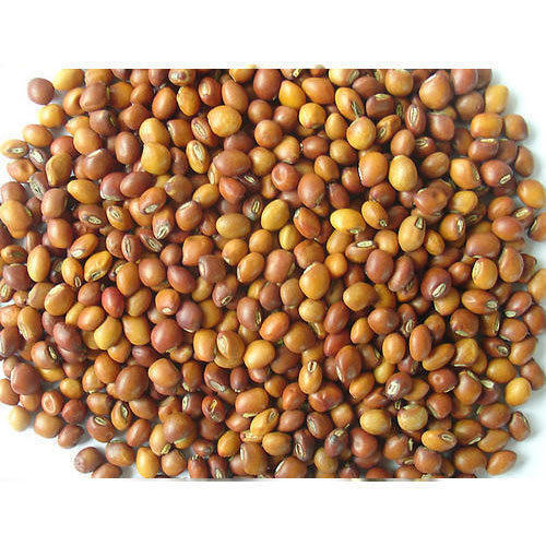 Raw Natural pigeon pea seeds, for Animal Feed, Grade Standard : Food Grade