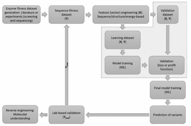 AI Guided Precise HTP Enzyme Library Screening