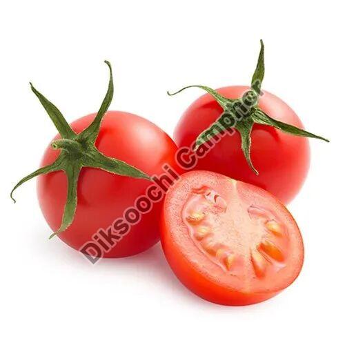 A Grade Tomato