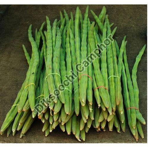 Green Organic Fresh Drumsticks, for Cooking, Packaging Type : Gunny Bag
