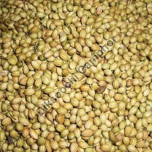 Natural Coriander Seeds