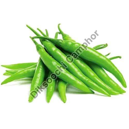 Natural Green Chilli, for Cooking, Shelf Life : 10 Days