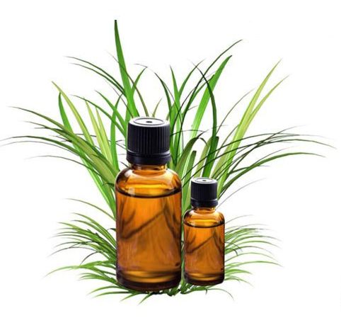 Citronella Oil, Packaging Size : 25 Kg /180 Kg