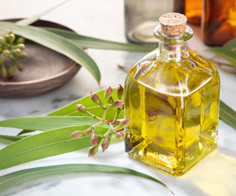 Eucalyptus Oil, Feature : Purity, Hygienically Packed