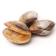 Frozen Clams, for Human Consumption, Packaging Type : Poly Bag Cartons