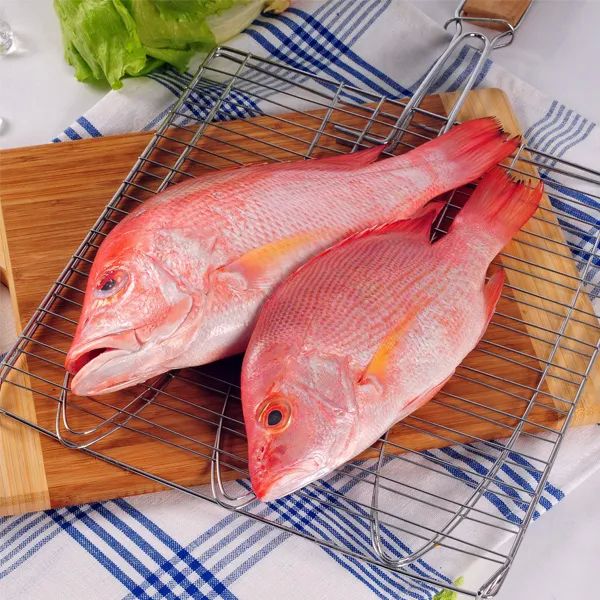 Frozen Red Snapper Fish, for Restaurant, Home, Hotel, Mess, Feature : Delicious Taste, Hygienically Packed