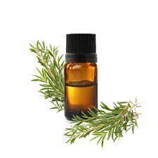 Liquid Tea Tree Oil, for Cosmetics, Aromatherapy, Purity : 100% Pure