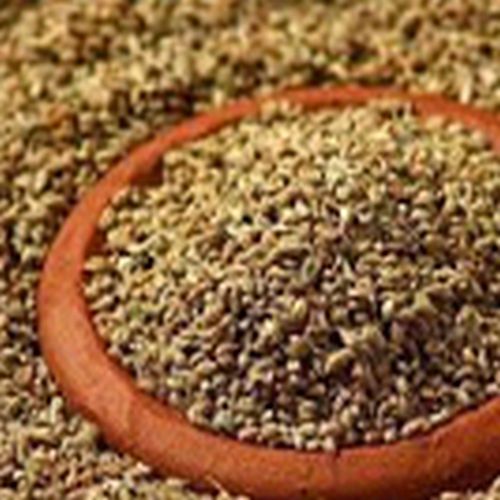 Ajwain Bishop Seeds