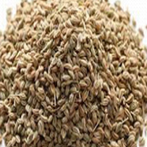 Ajwain Bishop Seeds