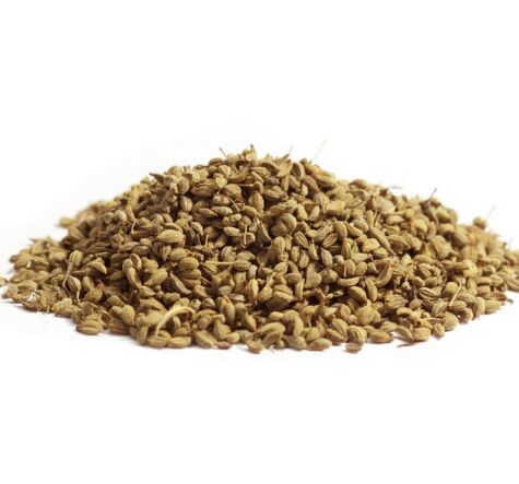 Ajwain Bishop Seeds