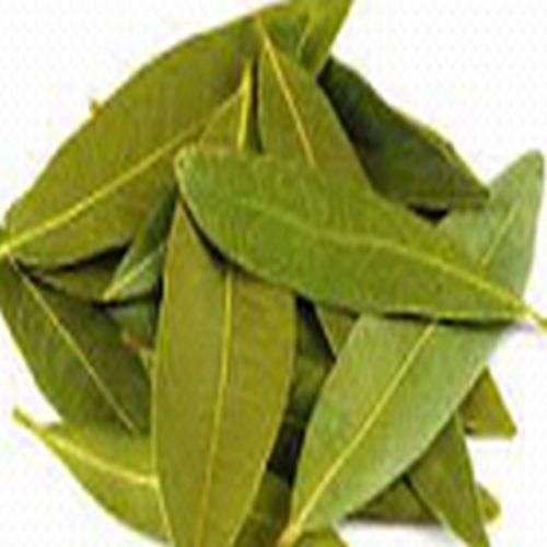 Bay Leaves