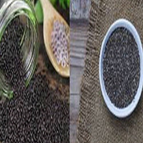 Basil Seeds