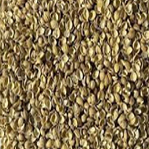 Dried Brown Split Coriander Seeds