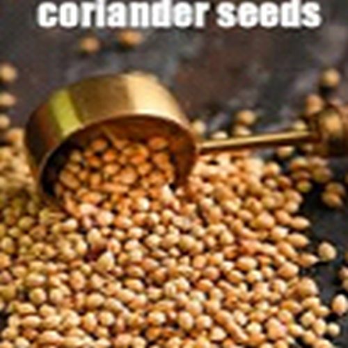 Dried Brown Split Coriander Seeds