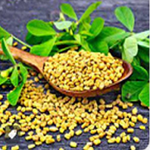 Fenugreek Seeds