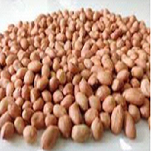 Natural Raw Peanuts