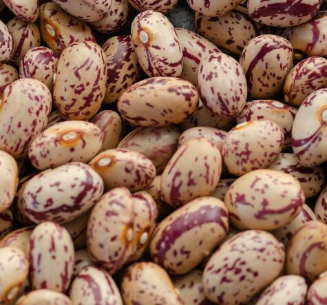 Light Speckled Kidney Beans