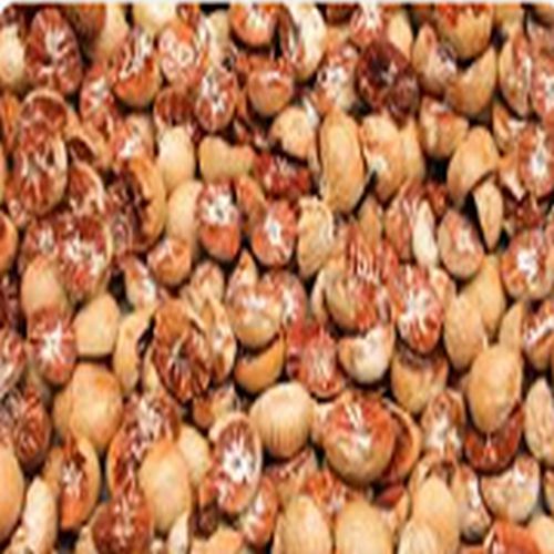 Natural Dried Betel Nuts