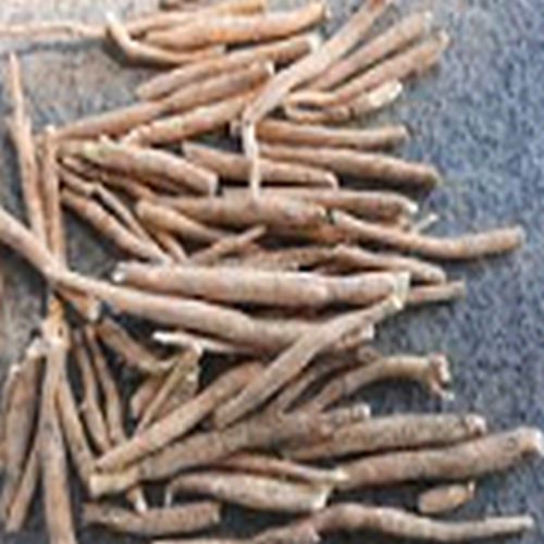 Ashwagandha Roots