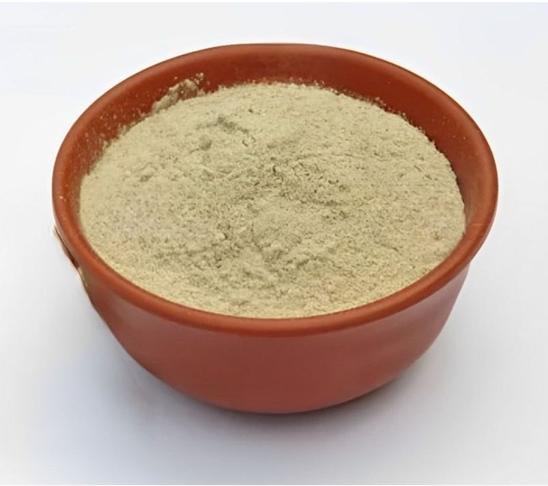 shatavari powder