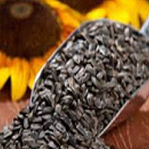 Sunflower Seeds